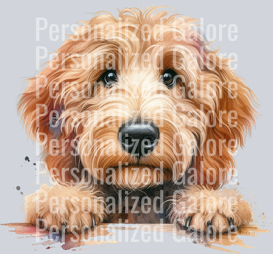 dog_561