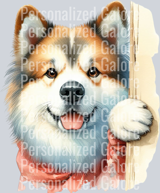 dog_313