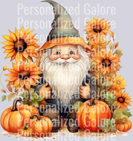 Gnome_021