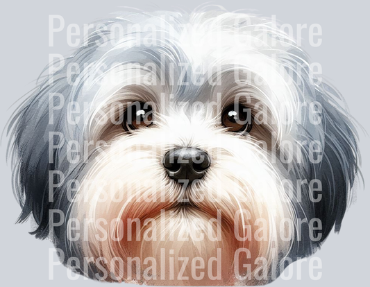dog_306
