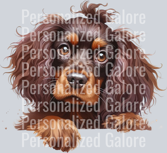 dog_444