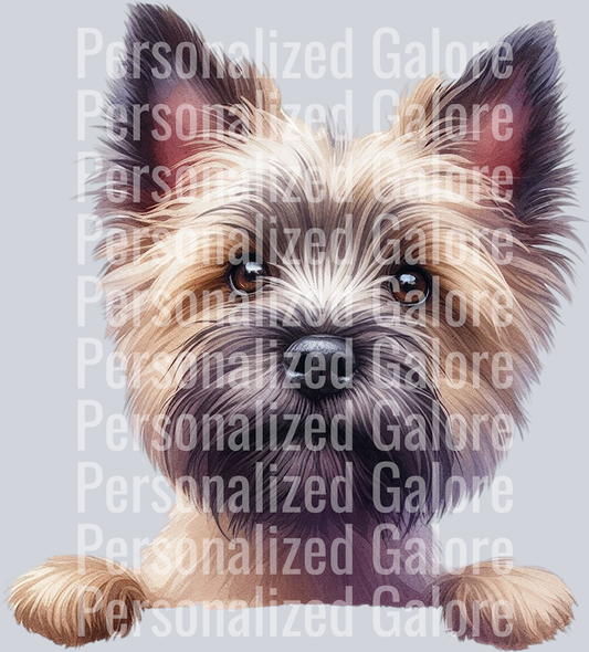 dog_431