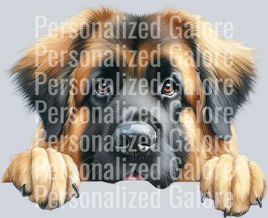 dog_517
