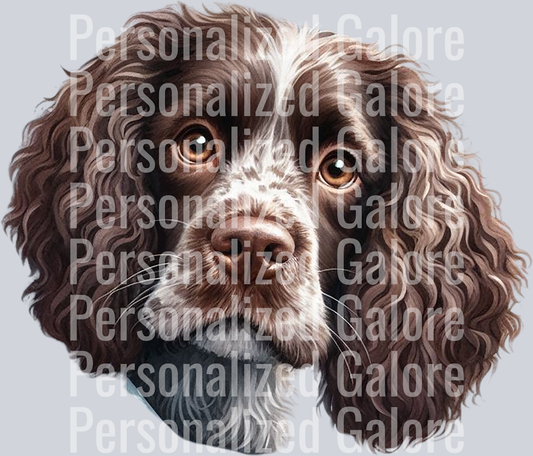 dog_552