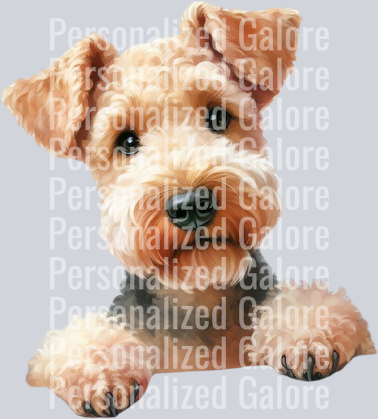 dog_527