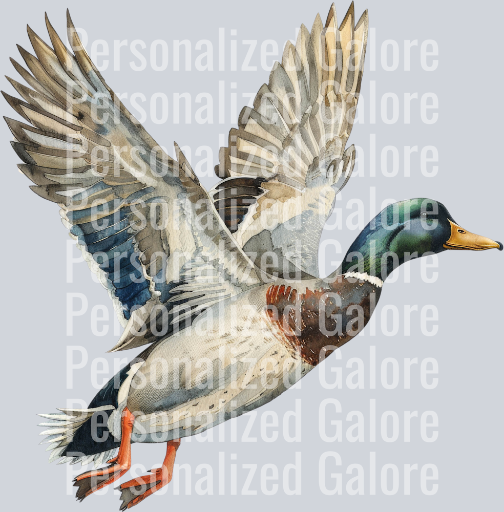 duck_242