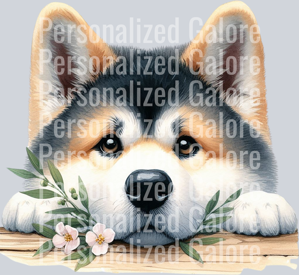 dog_557