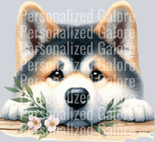 dog_557