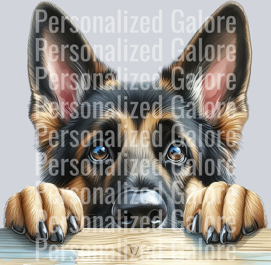 dog_343