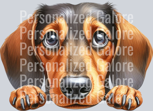 dog_393