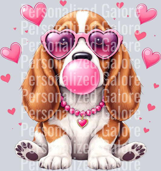 dog_049
