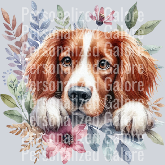 dog_440