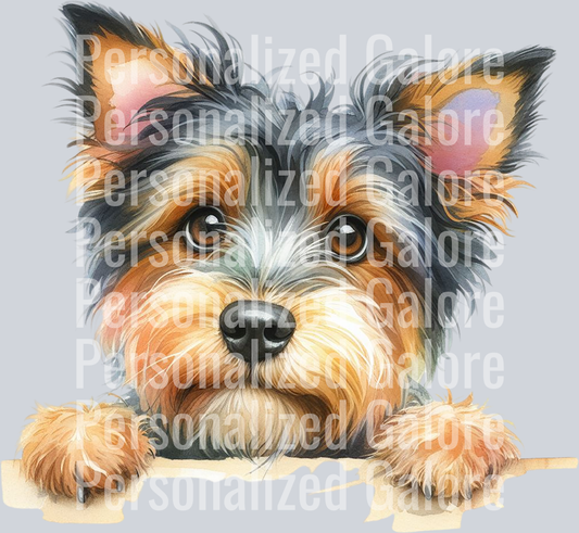 dog_484