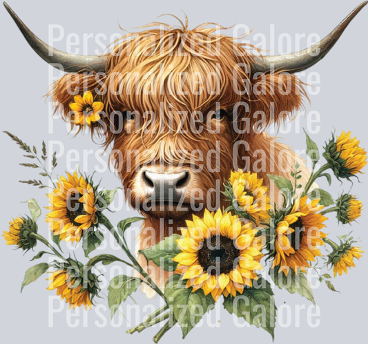 cow_341