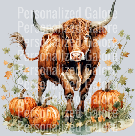 Cow_429