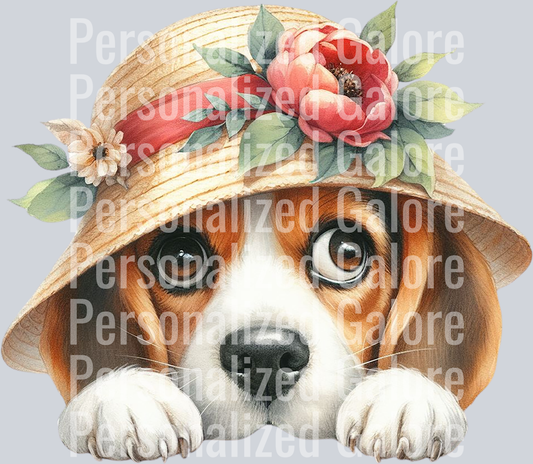 dog_478