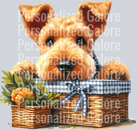 dog_528