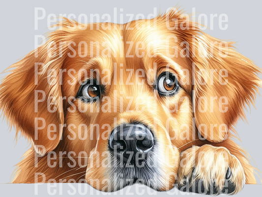 dog_332