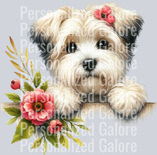dog_383