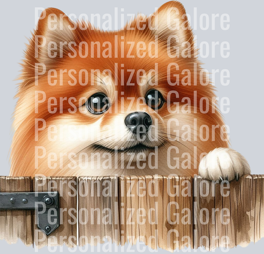 dog_355