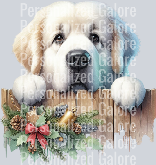 dog_531