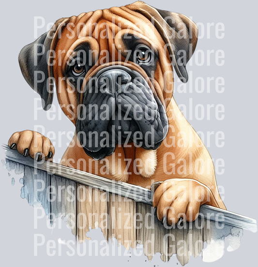 dog_433