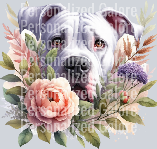 dog_376
