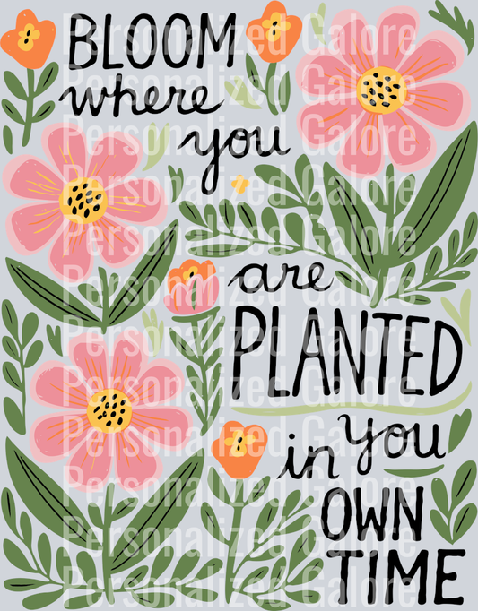 positive_013
