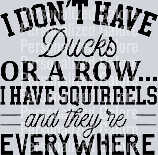 duck_229