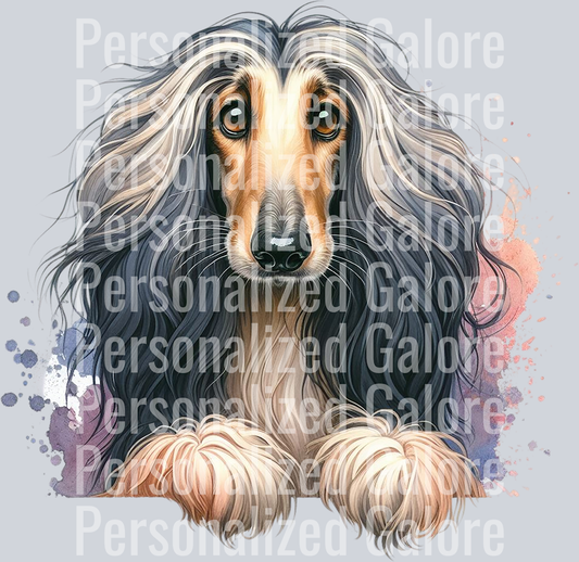 dog_503