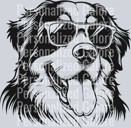 dog_231