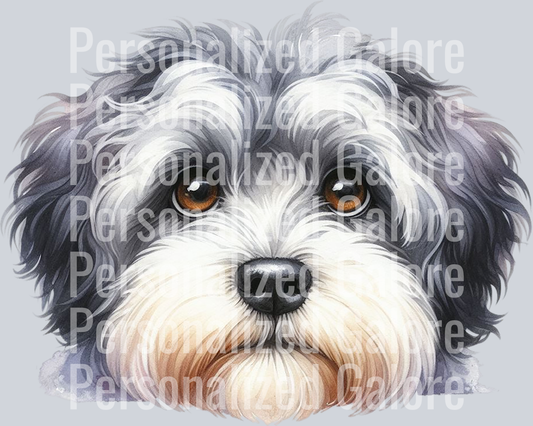 dog_559