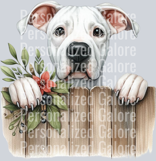 dog_379