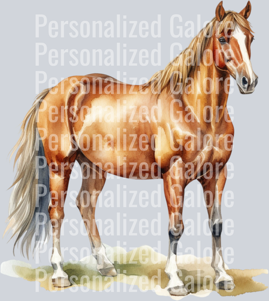 horse_012
