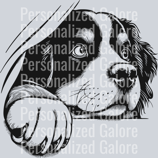 dog_167