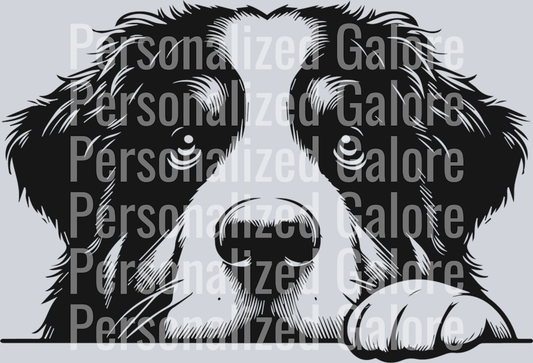 dog_223