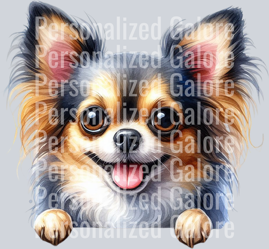 dog_411