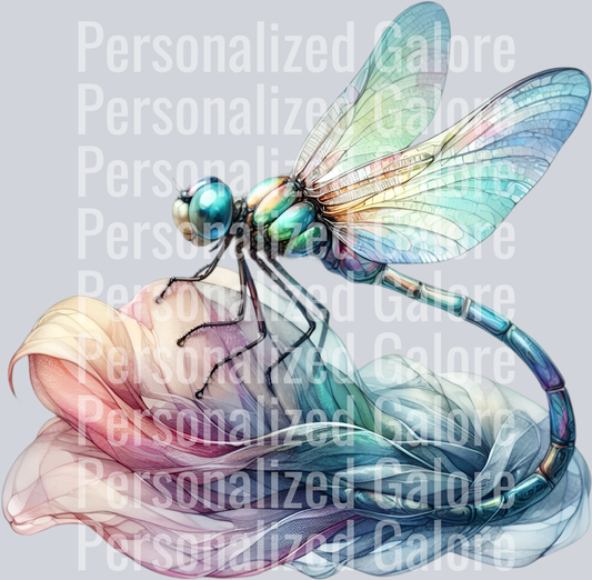 dragonfly_007