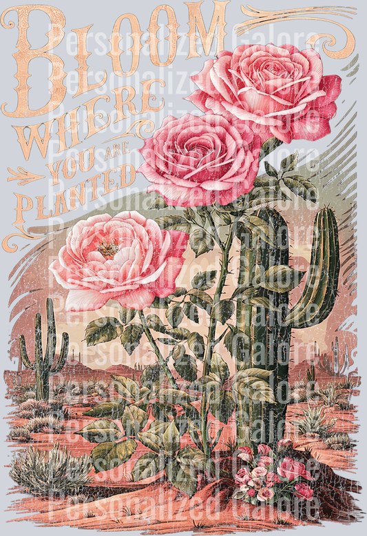 western_055