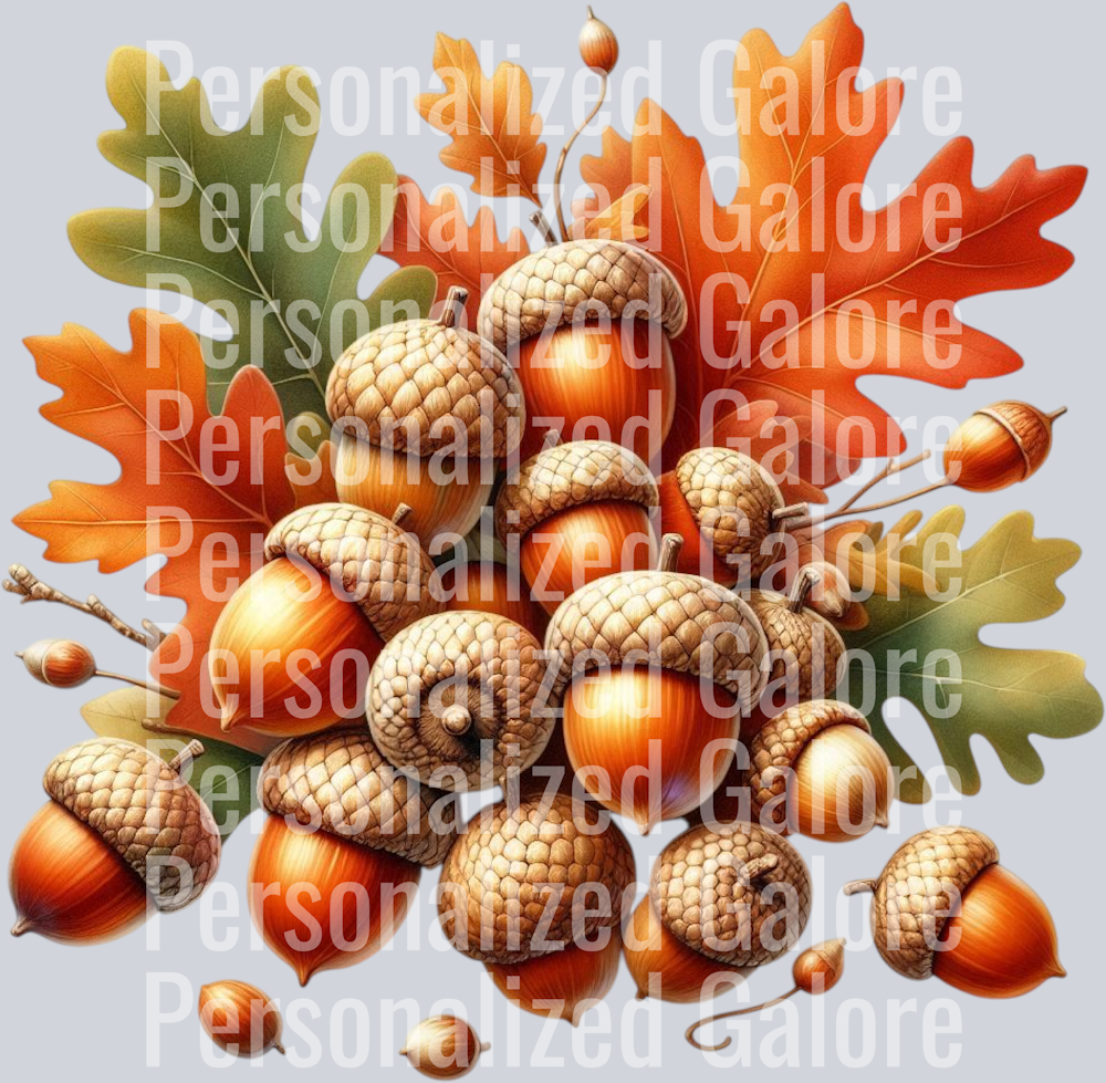 Fall_504