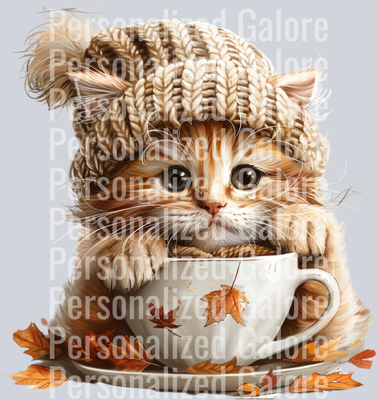 cat_041