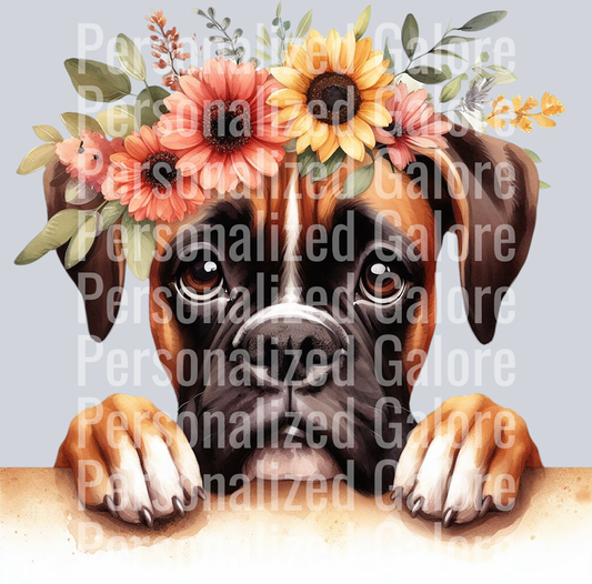 dog_448