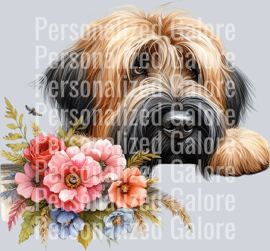 dog_441
