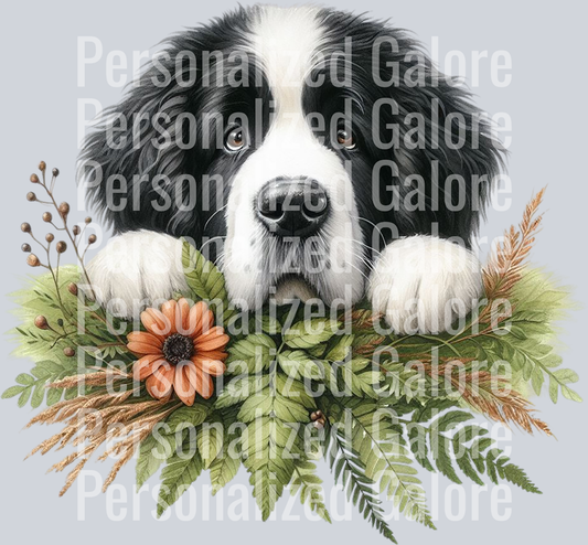 dog_520