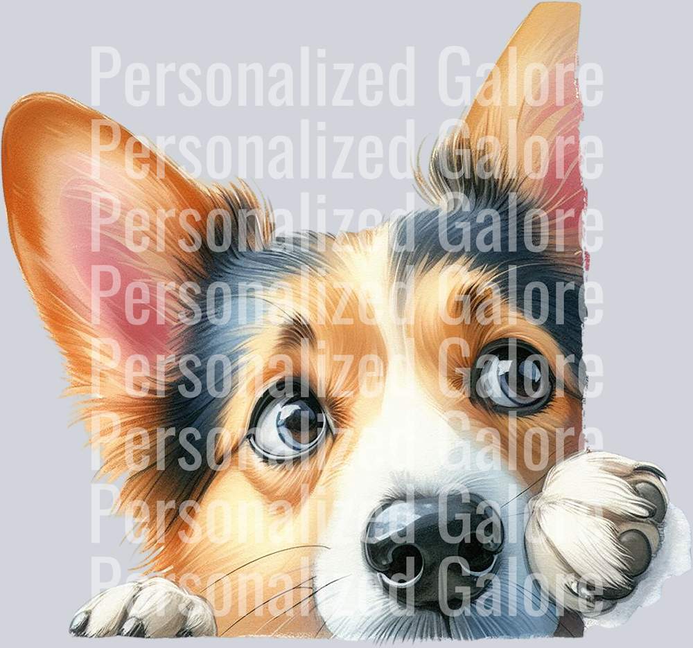 dog_427
