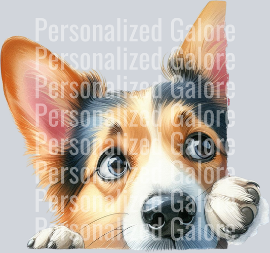 dog_427
