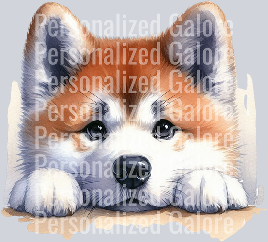 dog_351