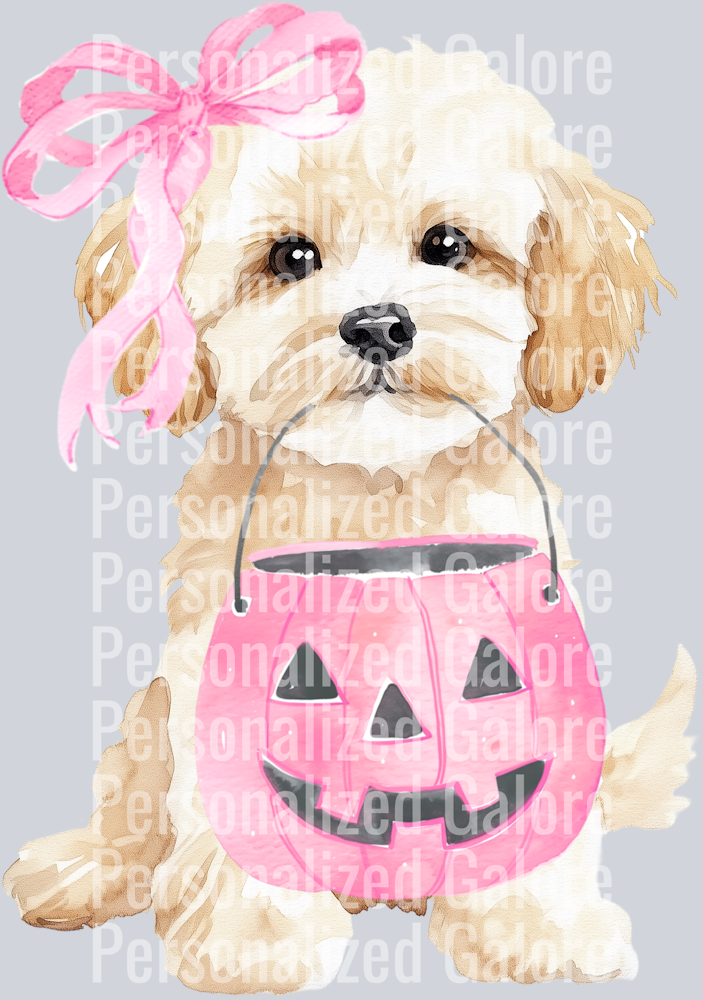 dog_599