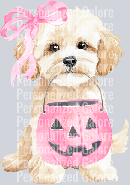dog_599