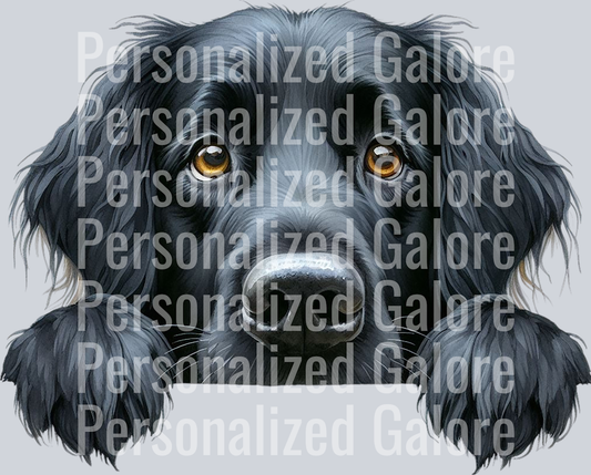 dog_354